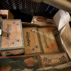 Porcelain Dolls Collection 