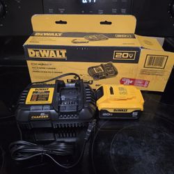 Dewalt 5AH Lithium Ion Battery And Charger Brand New Hablo Español 