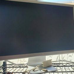 Apple HD Monitor Model A1082