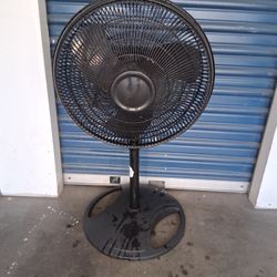 Fan 