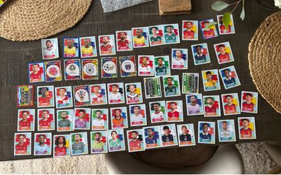 Panani extra stickers