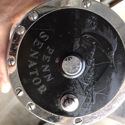 Penn Senator 9/0 reel