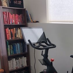 Two Matching Bookcases (from Dania Furniture Store!)