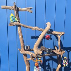 Macaw / Cockatoo Perch Tree / Dual Level .., Allows More Control And Socialization … Birdee Fun !! 👍🏼