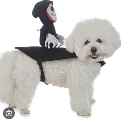 Small Pet Costume