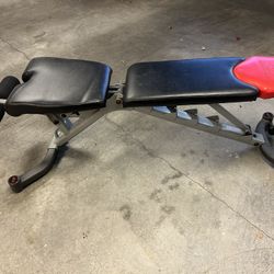 Bow flex Workout Bench