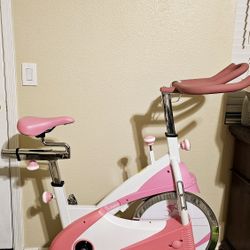 Sunny Health & Fitness Pink Indoor Cycling Exercise Stationary Bike