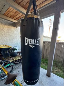 Everlast punching bag