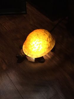 Turtle light