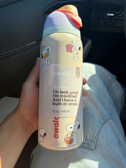 Owala snoopy flask