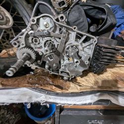 110 Sdg Pitbike Motor 
