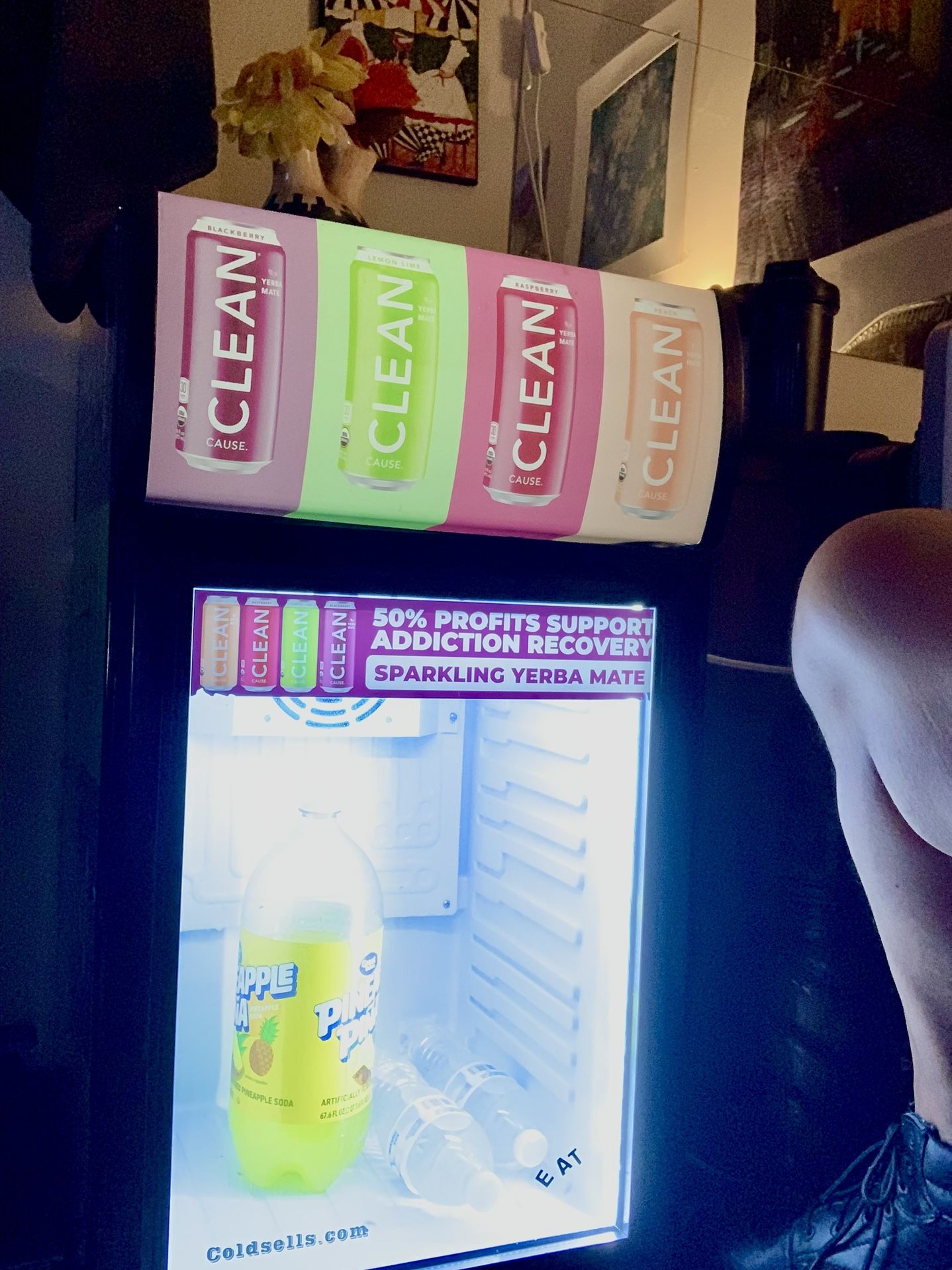 Mini Cooler [fridge]