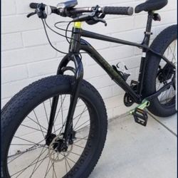 Trek Fatboy Size Large Hydraulic Disc Brakes Cost 2300$ Selling 900 $  Garage Kept  