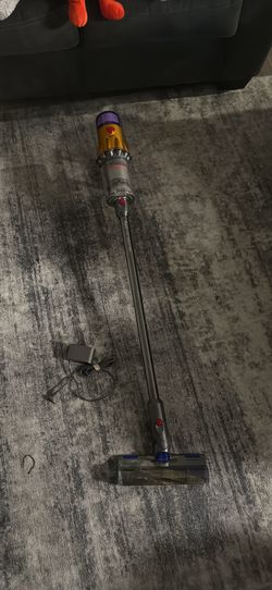 Dyson V12 detect