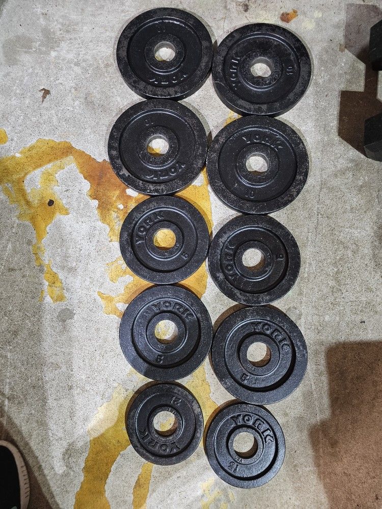 York 65lbs Olympic 2" weights change plates