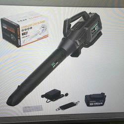 Cordless Leaf Blower! (Make Me An Offer!!)