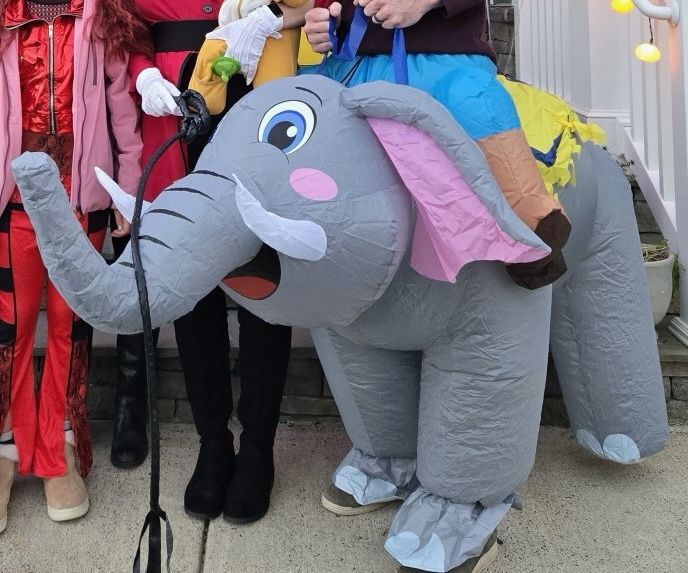 Inflatable Elephant Costume for Adult Blow Up Ride on Elephant Costume