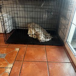 Dog Crate