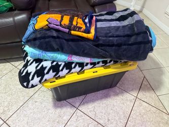 3  blankets and 1 bedspread   $12 for all  firm price