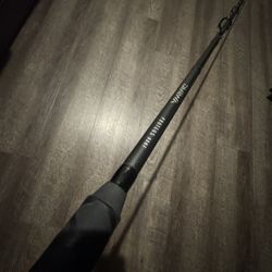 Daiwa Proteus Salt Water Fishing Rod. Conventional 8’ Hvy 20-50 