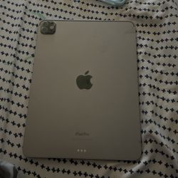 iPad Pro (11 Inch) 4th generation 
