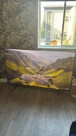 65” Flatscreen TV