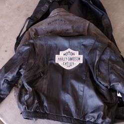 Harley Davidson JACKET