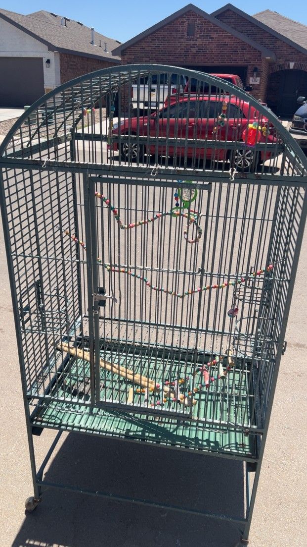 Bird Cage