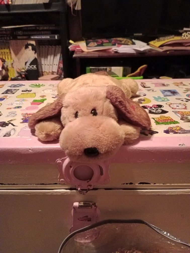 Giant Beanie Babies 10 Dollars Each