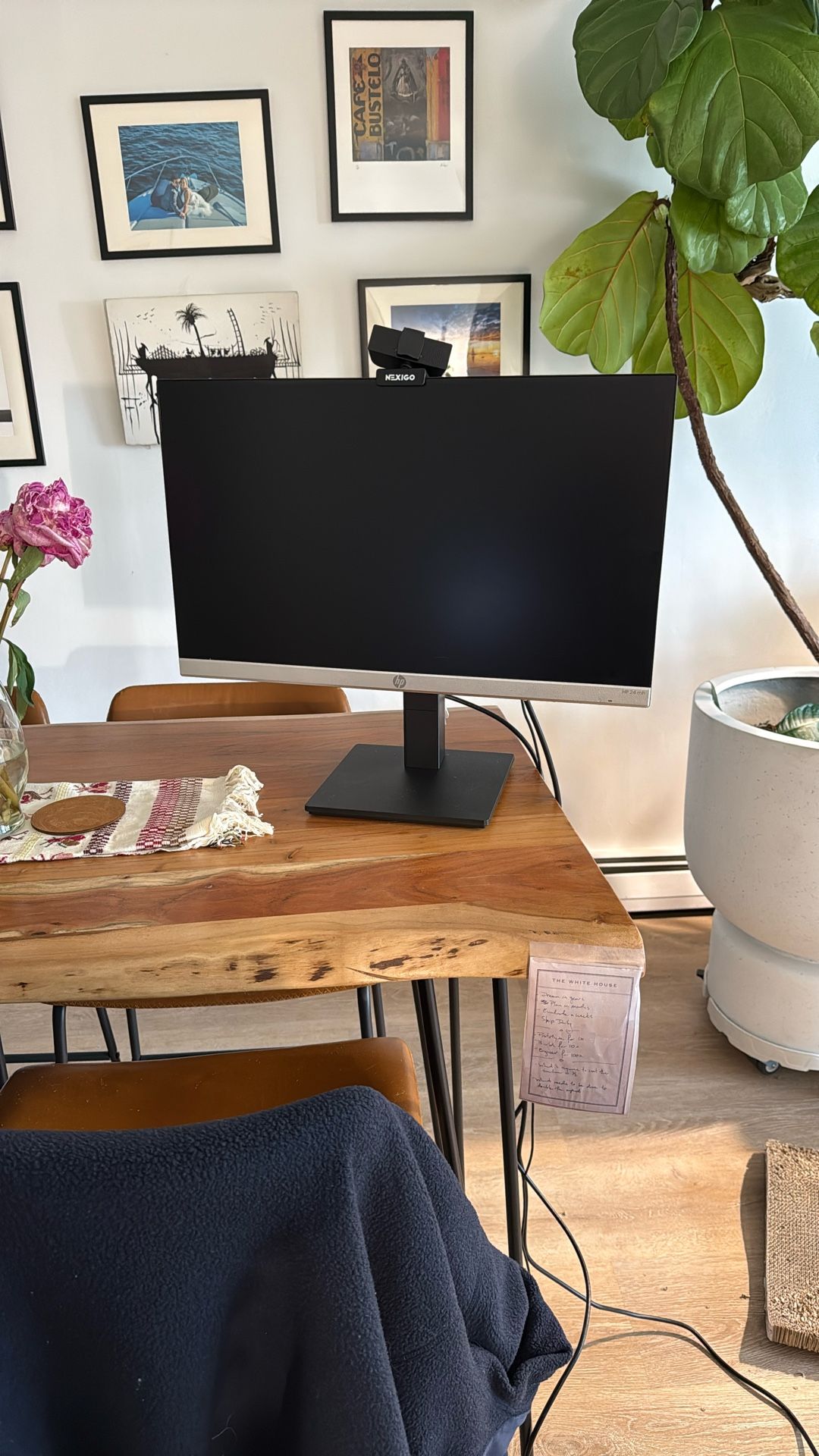 HP Monitor And Camera