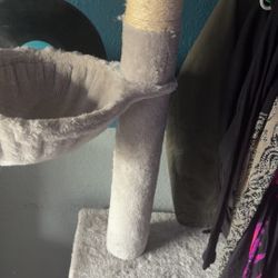 cat tree
