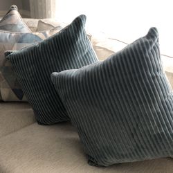 New- Never Used Couch Pillows