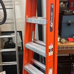 6ft Louisville Ladder 