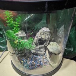 Fish Aquarium 5 Gallon