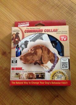 The perfect dog command collar