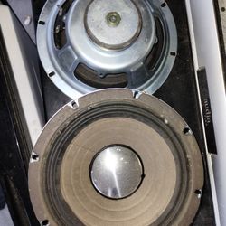 Vintage Guitar Speakers 8"