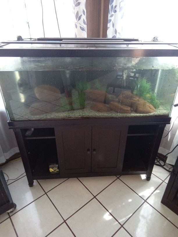 Aquarium 75 Gallon