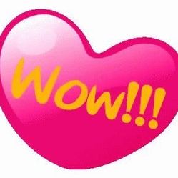 Carteras/Ropa/Purses/Clothes