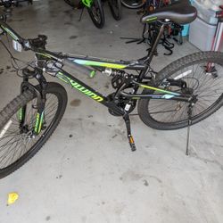 Schwinn knowles review sales