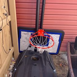 Lifetime Basketball Hoop 