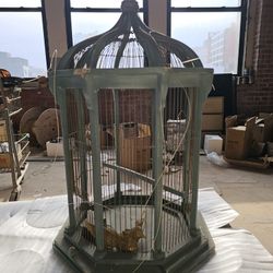 Antique Bird Cage