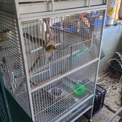 Large Metal Bird Cage In Great Condition 80