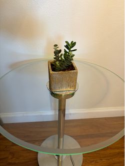 Plant