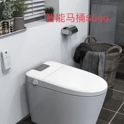 Smart Toilet