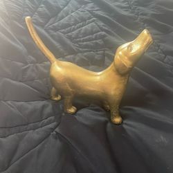 New Golden Medal Dog Status 