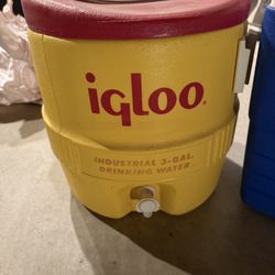 Igloo Coolers And Coleman Ice Box