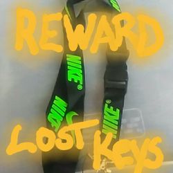 Reward LOST KEYS $200 JUST WANT THE BOTTLE OPENER BACK
