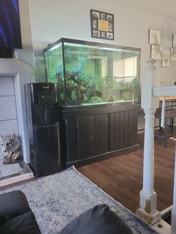 150gl Fish Tank