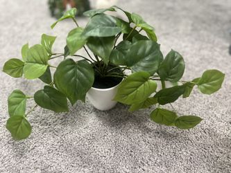 Fake Plant
