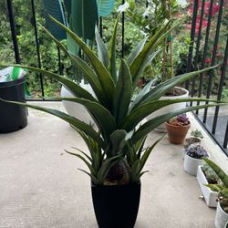 Agave FAUX Plant